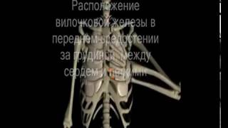 Удаление вилочковой железы - видео без монтажа. Live video VTS extirpation thymus