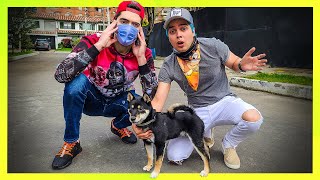 ENCONTRAMOS ESTE PERRO ABANDONADO EN LA CALLE - Yolo Aventuras