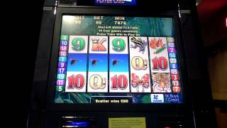 Macaw Magic Slot Machine Bonus