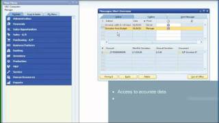 SAP Business One Financials and Accounting Demo Video