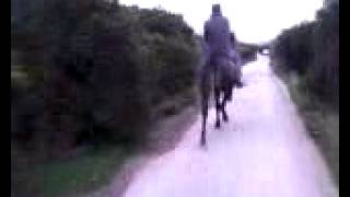 gerasimos aloga 4