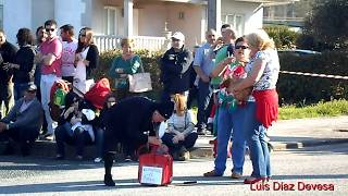 Carnavales del Concello de Portas 2014