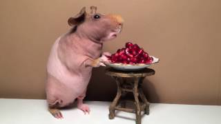 Princess Peach eating pomegranate seeds