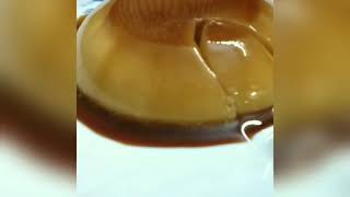 Satisfying video | For food lovers | Caramel Pudding