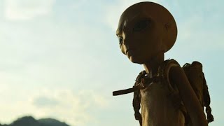 7 Reasons Why Humans May Not Have Come From Earth