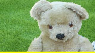 Teddy Bear Picnic Day #UCHacks