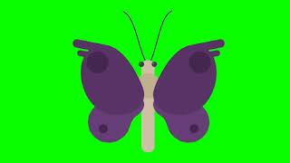 Butterfly/бабочка: футаж на хромакее