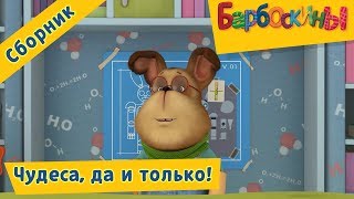 Чудеса, да и только ?‍♂️Барбоскины ? Сборник мультфильмов 2018