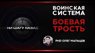 Боевая трость. Работа тростью против нападающих. Мальцев Олег
