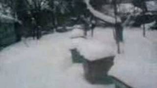 Пчела не холода боялась