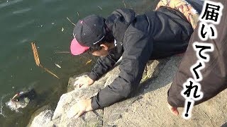 決死の初バス捕獲劇！【遠賀川】