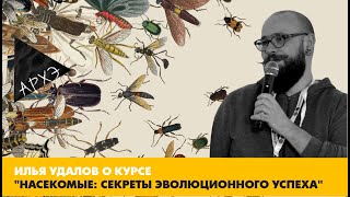 Илья Удалов: курс "Насекомые: секреты эволюционного успеха"