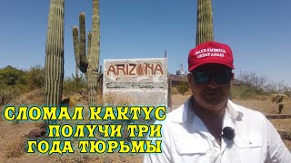 Экстремальная работа в Аризоне