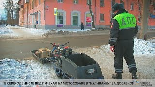 В Северодвинске дед приехал на мотособаке в “наливайку” за добавкой // VDVSN.RU