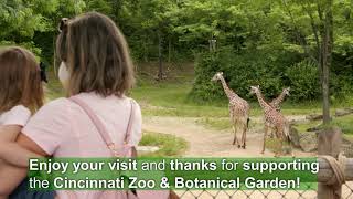 What to Expect When You Come to the Zoo - Cincinnati Zoo July 2020
