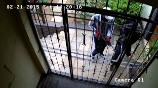 Attempted Burglary on my parent's home(Part 1)