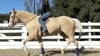 Riding Technique: The Basics of Posting