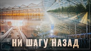 Россию уже не остановить. По всей стране открываются новые предприятия АПК и пищевой промышленности