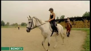 Az oktatás világa: A Tanyasi Lovasudvar - Echo Tv