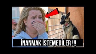 Sahipleri Uyurken Köpeğin Her Gece Yaptığını Görenler Gözyaşlarını Tutamadılar !!