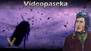 Урок-спектакль для пчеловодов