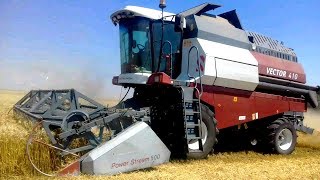 УБОРКА ОЗИМОИ ПШЕНИЦЫ 2017✔КОМБАИН VECTOR 410. МТЗ 82.1  ЮМЗ 6