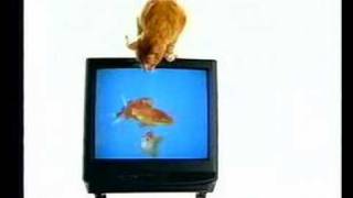 TV1000 ident