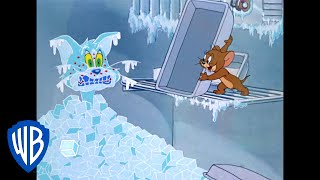 Tom y Jerry en Español | ¿Jerry cuida a Tom?