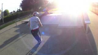 Robin tedde new tricks