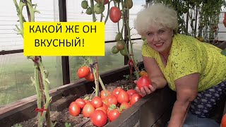 Лучшие томаты! Очень редкий коллекционный томат Мамино малиновое сердце. №314.