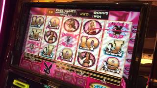Playboy Bonus Jackpot $20 bet