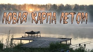 Ловля карпа. Видео отчет, мысли вслух.