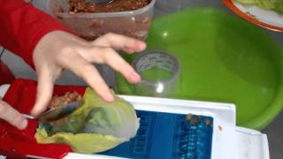 Устройство для закручивания долмы и голубцов. Долмер.