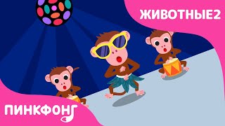 Обезьяна — Банана-Обезьяна-на | Песни про Животных | Пинкфонг Песни для Детей