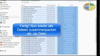 Mods von LS11 in LS13 konvertieren