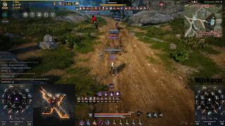 Black Desert 171 ap DK vs 338 dp witch test (one combo kill)
