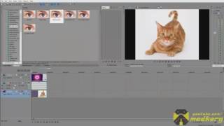 Как сделать часть картинки прозрачной, используя программу Sony Vegas Pro
