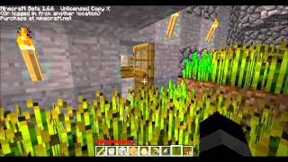 Minecraft Building ideas 1
