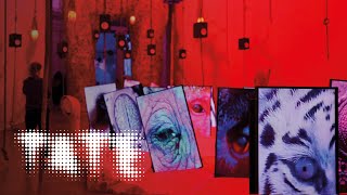 Heather Phillipson – ‘I have no fixed starting point, only accumulation’ 