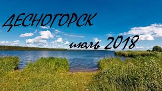 ? ПОВОДОК ДЛЯ ТРОЛЛИНГА !