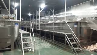 Flake Ice machines, screw chillers in chicken slaughter house