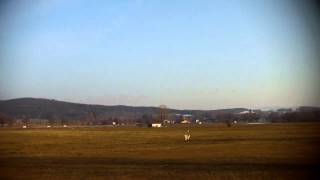 T-Rex 450 Pro Crash - 03.03.12