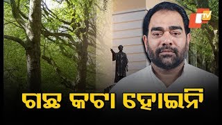 No Trees Felled In Dhenkanal Last Year, Opposition Targets Forest Minister