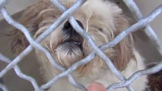 #A4959299 Beautiful girl needs help now!