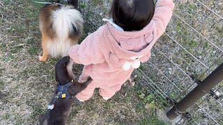 カワウソ、猫、犬、赤ちゃんで散歩に出かけたらアクシデント発生…！ otter, cat, dog, and baby go for a walk and an accident occurs..!