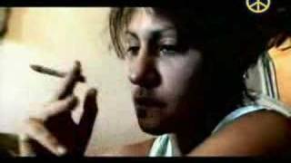 pono-osaczony(z zycia wziete)