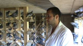 Columbodrom Superstar Rm Valcea film prezentare 22 iunie 2013