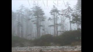 Vital Sea - Favorites (Podcast 1)