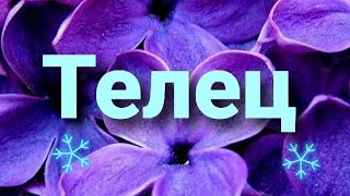 Телец Таро - гороскоп с 23.12 по 29.12 2019 г.