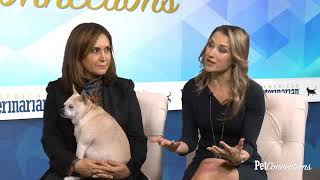 Diabetes in Dogs